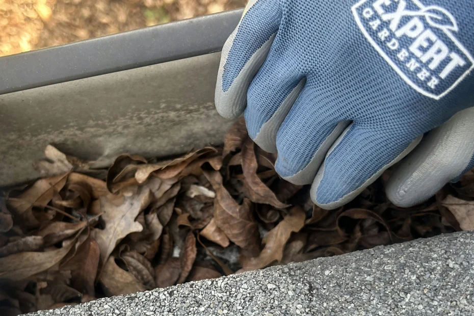 Fisherville Gutter Cleaning