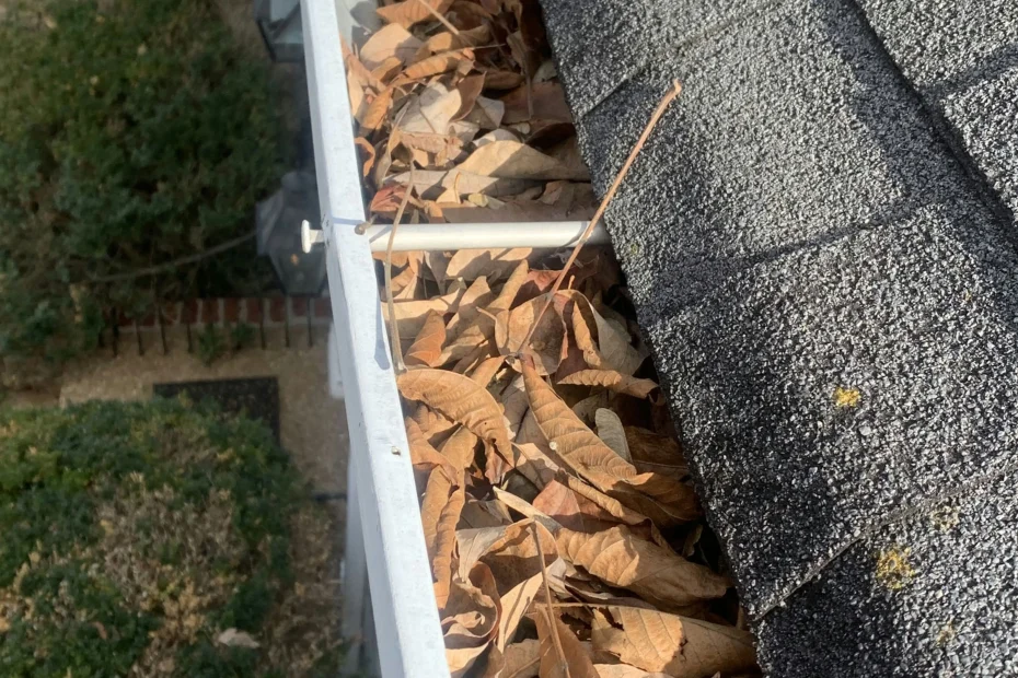 Fisherville Gutter Cleaning