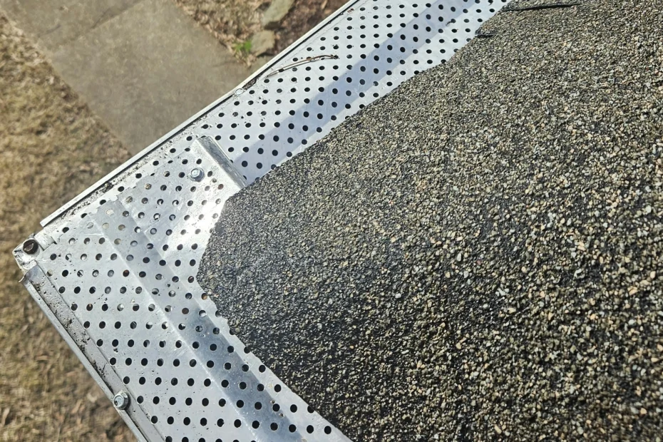 Fisherville Gutter Cleaning
